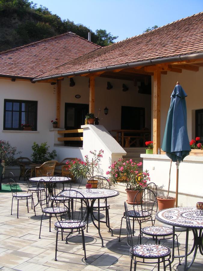 Erzsebet Pince Lägenhet Tokaj Exteriör bild